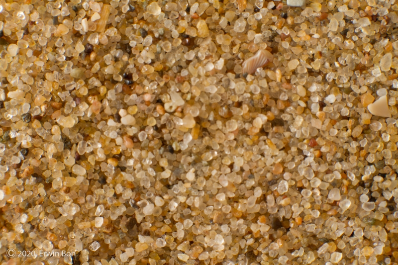 Nederland, Zuid-Holland, Wassenaar